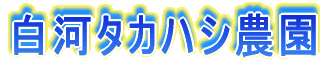 ̓^JnV_